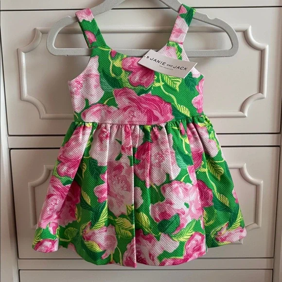 NWT Janie and Jack Baby Girl Rose Pleated Pink & Green Dress Size 3-6 Months - Picture 1 of 9